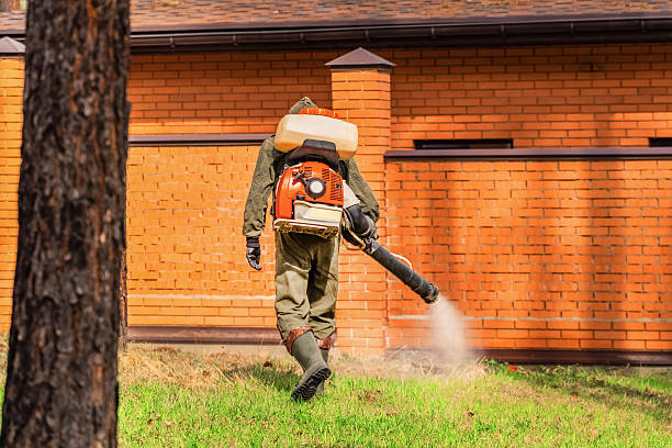 Trusted Bed Bug Control service in Bellefonte, PA - Nex Pest Control